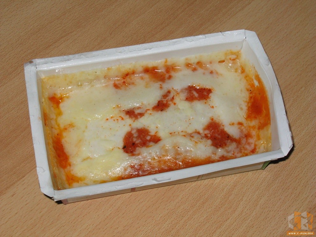 Faul Netz Ausdauer lasagne in mikrowelle Seele Referenzen Liebe